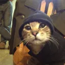catmeg