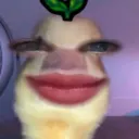 fokuroshi avatar