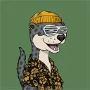 nikkapoo