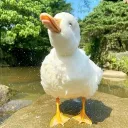 suko_on