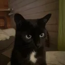 pavelqt