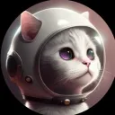 coolmrso_clean