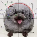 cntrlwinl