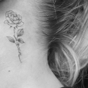 avatar Grenouille 🐸🐼🦆🍃