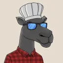 camelsteve