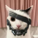 cyborgkitty9962