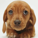 avatar Aylen Bustamante