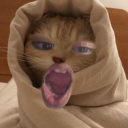 avatar maru