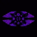 the_unknown_librarian