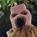 avatar 𝕤𝕪𝕤𝕚𝕒