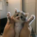 Аватар minvaxnon