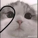 layottu.ai