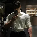 bay_fox