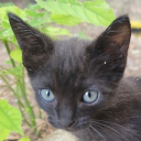 avatar Gary Winthorpe