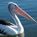 galumay avatar