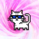 catmaestro
