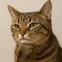 Аватар china_perm