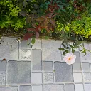 floriskay