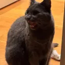 9my