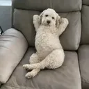lonelythotz