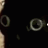 juliotehepic