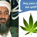 bpdaniel