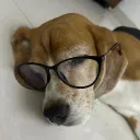 ananyayfr