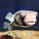 oboro1116のアバター