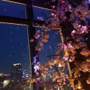 haru_3.14