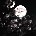 v.vera_