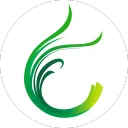 chivesnetwork
