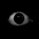 sadisticracc00n3301