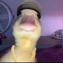 luchooooocrrr