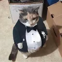 ddomyuhh