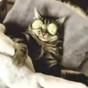 tabrasco