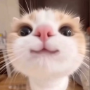 avatar ✞ 𝙳𝚊𝚗𝚒𝚎𝚕𝚒𝚌𝚎𝚔𝟶 🖤 ✞