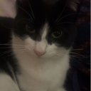 Discord Avatar