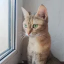 Аватар mint2898