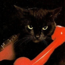 avatar Сташка <3