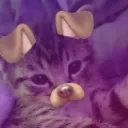 Avatar dewelopera wexonv na Discordzik.pl