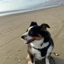 jscreator