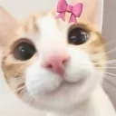 livilovesfood