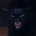 superdaveallstar017090981748 avatar