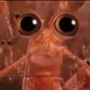 teavrc