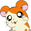 drew.berry