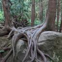 spaceman9875-1274082704878473300