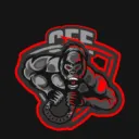 cfe_steppa