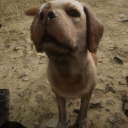 avatar 𝔪𝔦𝔫𝔵 ꨄ