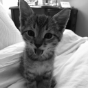 avatar 𝔜𝔵𝔳𝔞𝔞