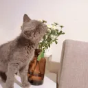 mrtree3906